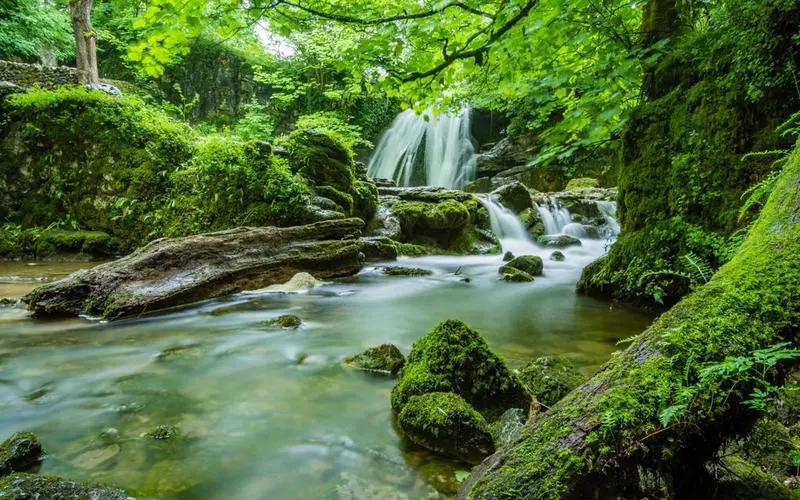 可靠性科技